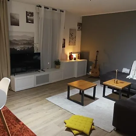Stylish 1-bedroom Flat With Beautiful Terrace , For A Cosy Retreat * 斯特拉斯堡